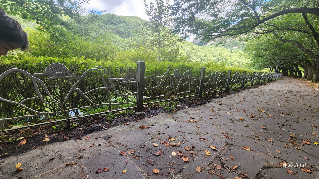 235149625_0O8yAZo2_235dbf1aeb6c13a845cbdc616f1452f03a457802.jpg 이미지크게보기