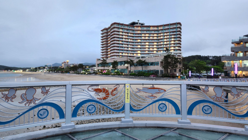 235149625_p42PmogO_a311c33a3da1e2367513f4fec8b49f5ea9e8c9dd.jpg 이미지크게보기