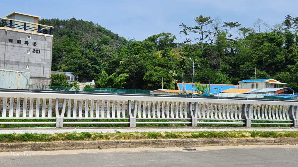 235149625_qdrOGJjz_5b089296189c9e19676b92190f8f72f3b2ea689f.jpg 이미지크게보기