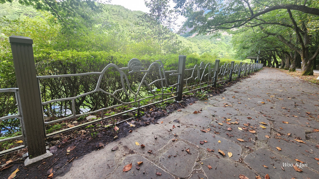 235149625_zn5dMFEq_f4bf84a2b51585cb71e55b6a652c021bf70611f3.jpg 이미지크게보기